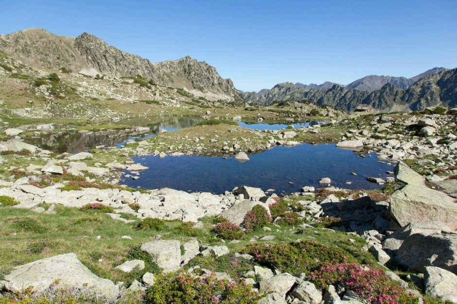 Paysage des Pyrénées