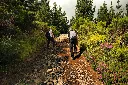 pexels-zakhar-8469141.webp