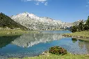 pexels-philippe-serrand-337910945-14691276.webp